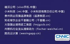 小米、维沃等知名企业启用“.CN”“.中国”域名——国家顶级域名再添一批重要新用户